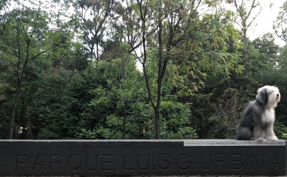 This image has an empty alt attribute; its file name is fullsizeoutput_11df.jpeg